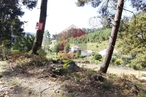 Ribeira Vila Verde terrain foto 326233