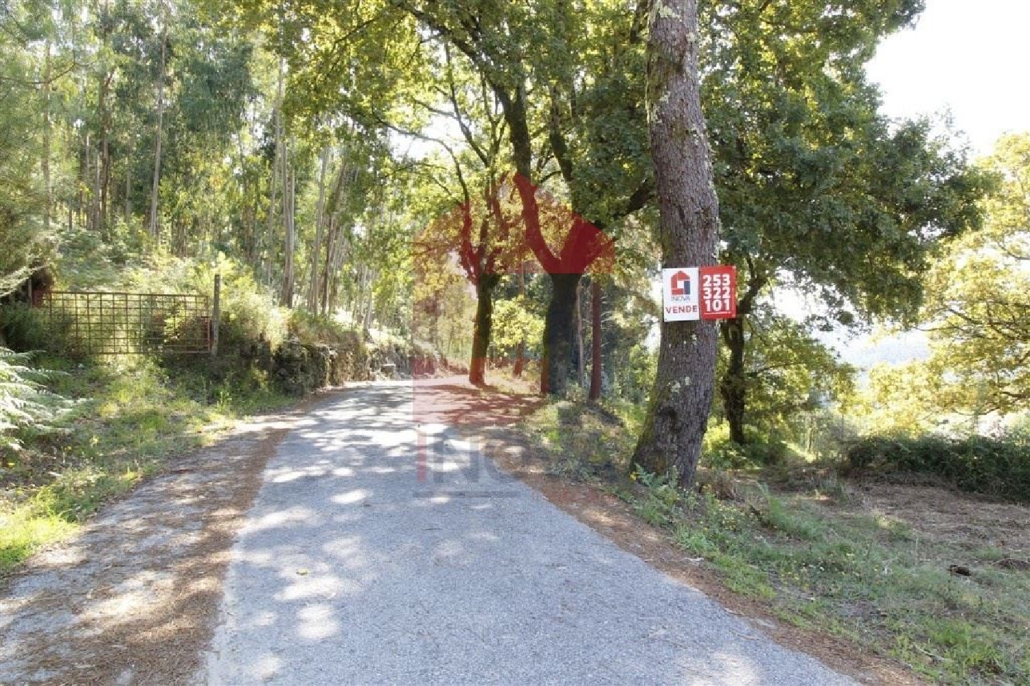 à venda terreno Ribeira Vila Verde 2