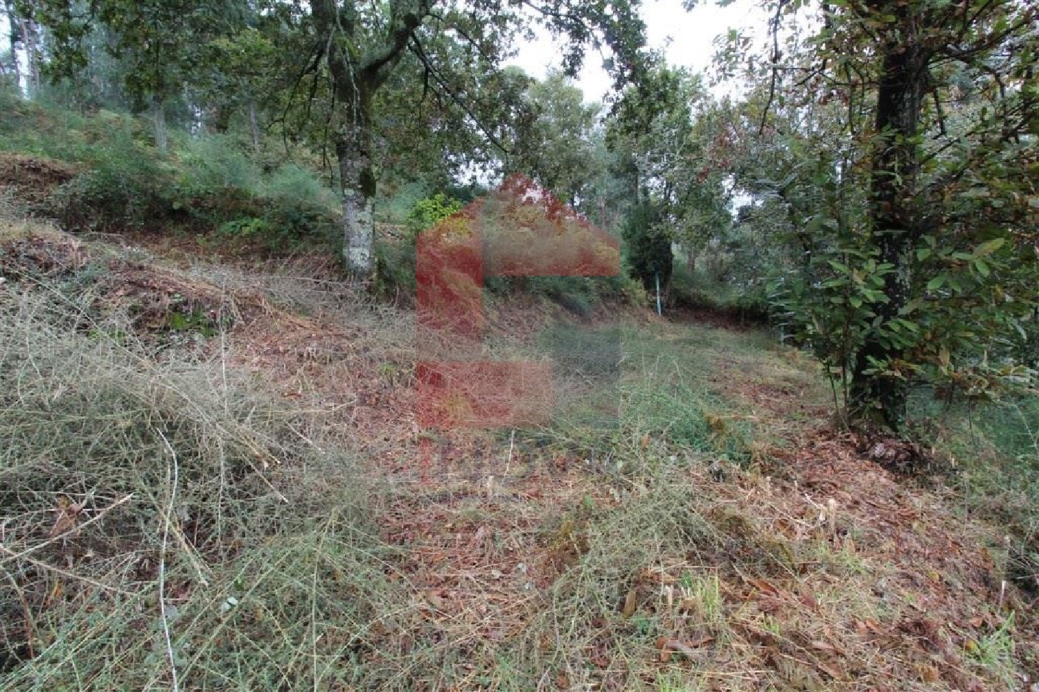 te koop terrein Ribeira Vila Verde 2