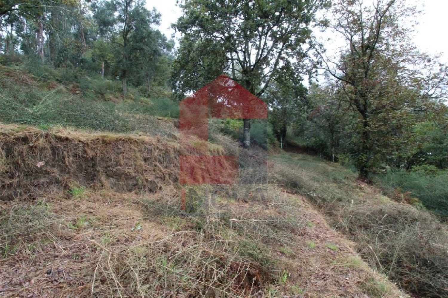 te koop terrein Ribeira Vila Verde 3