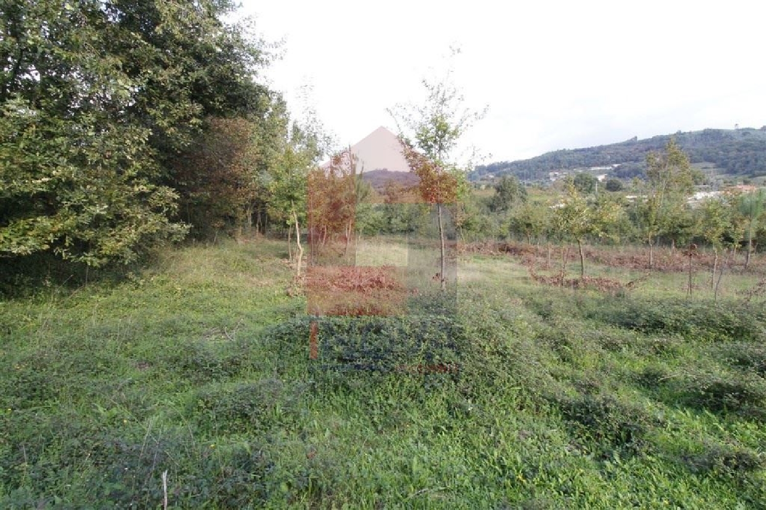 te koop terrein Ribeira Vila Verde 2