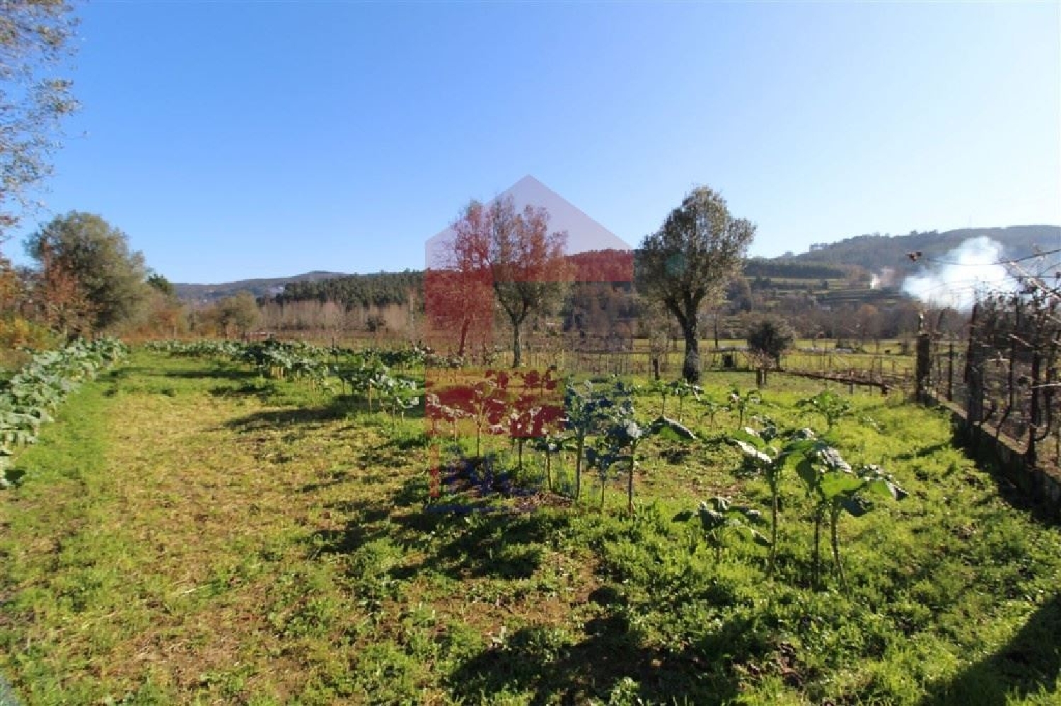 à venda terreno Ribeira Vila Verde 2