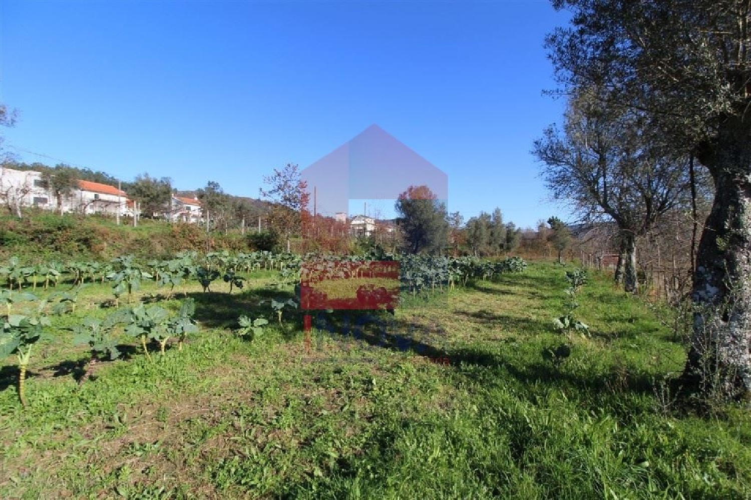 à venda terreno Ribeira Vila Verde 3