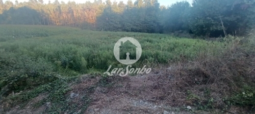 Ribeirão Vila Nova De Famalicão terrein foto 320862