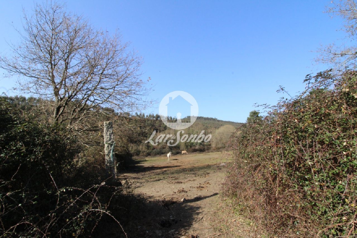 te koop terrein Ribeirão Vila Nova De Famalicão 2