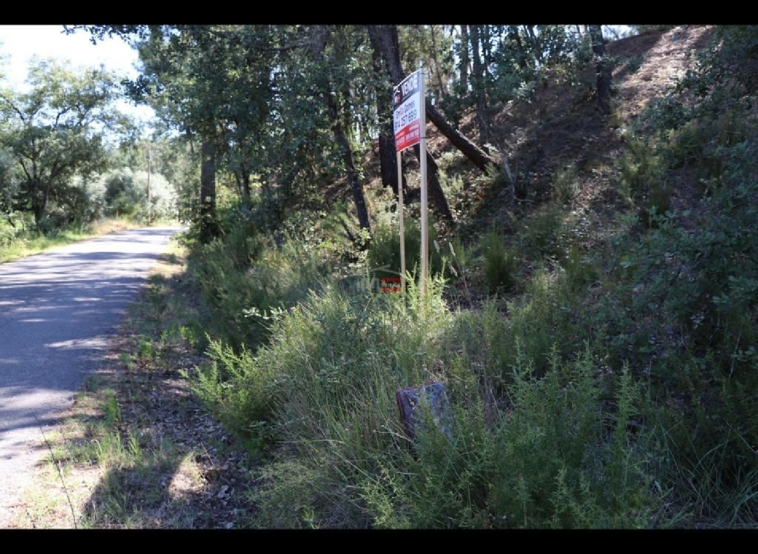 for sale terrain Rio de Couros Ourém 1