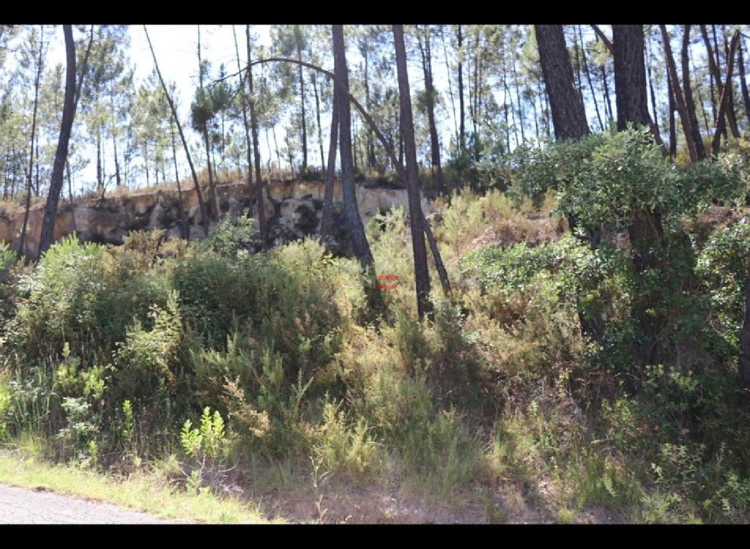 for sale terrain Rio de Couros Ourém 2