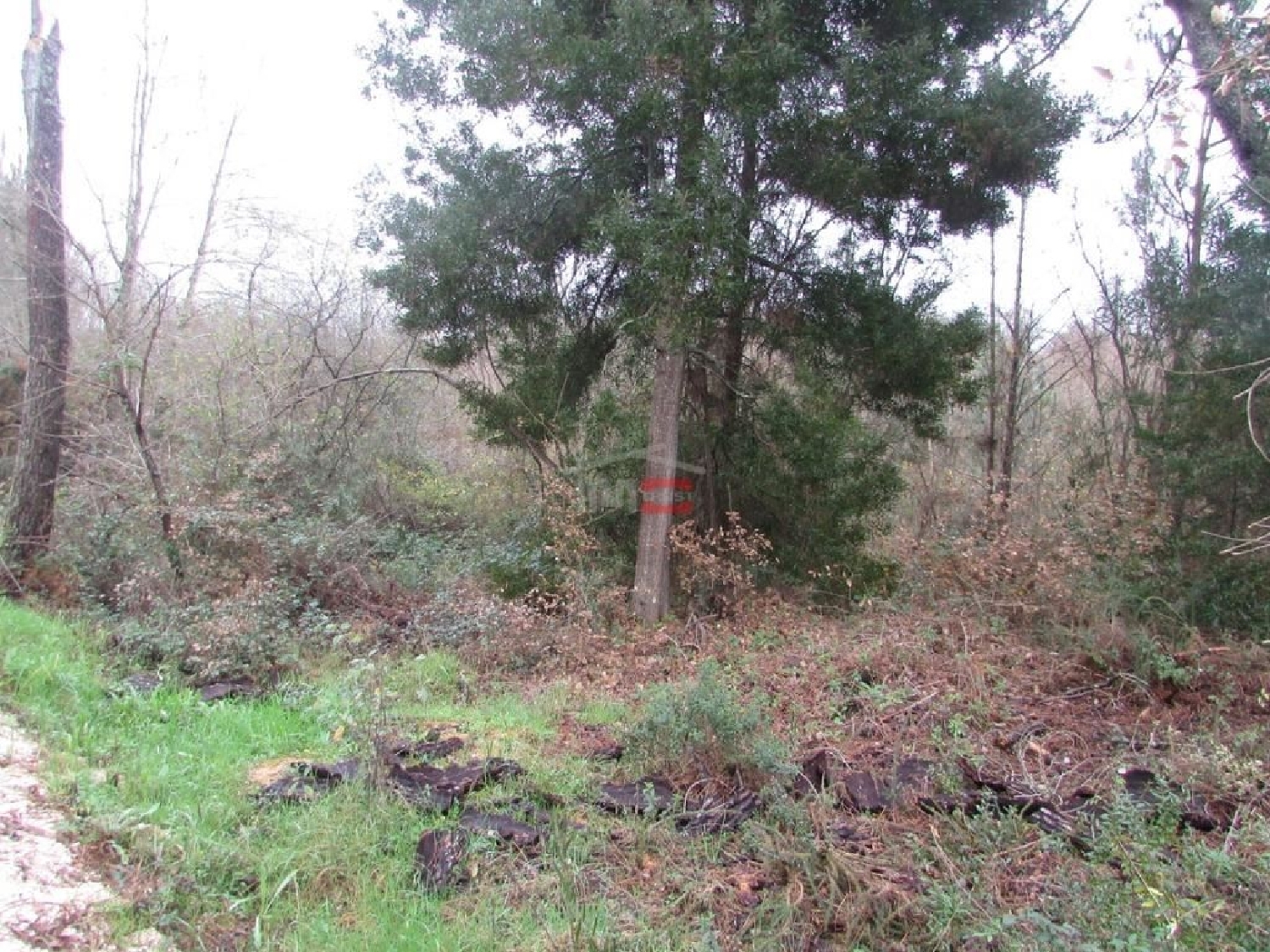  出售 土地 Rio de Couros Ourém 3