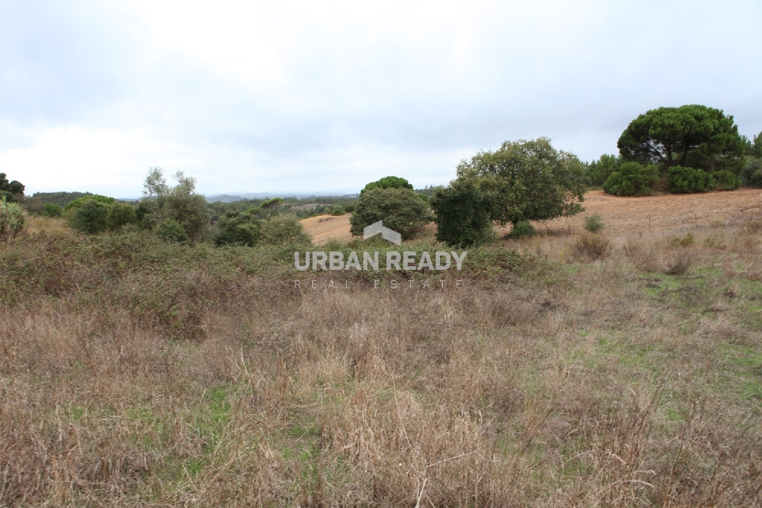 à vendre terrain Rio Maior Rio Maior 3