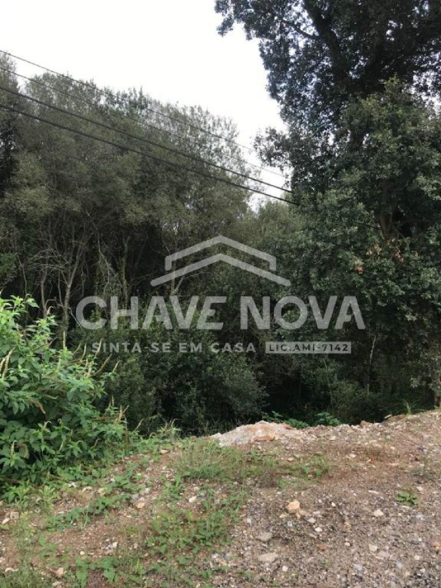  te koop terrein Rio Meão Santa Maria Da Feira 2