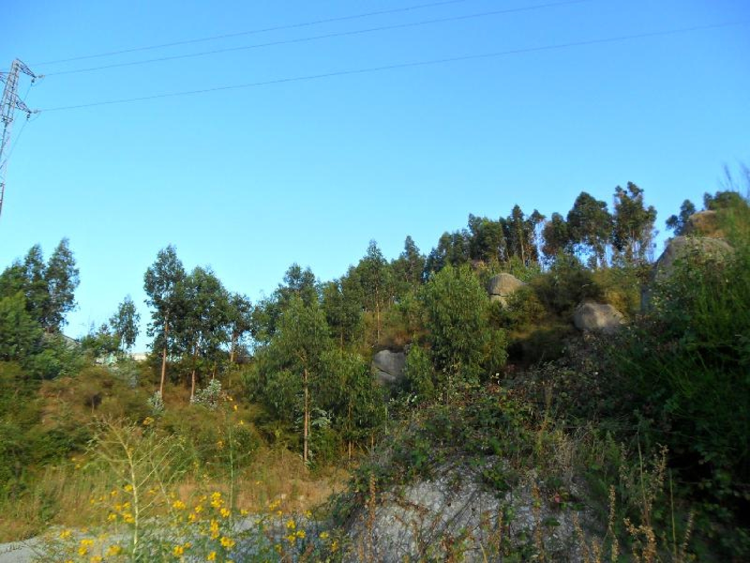 à venda terreno Ronfe Guimarães 3