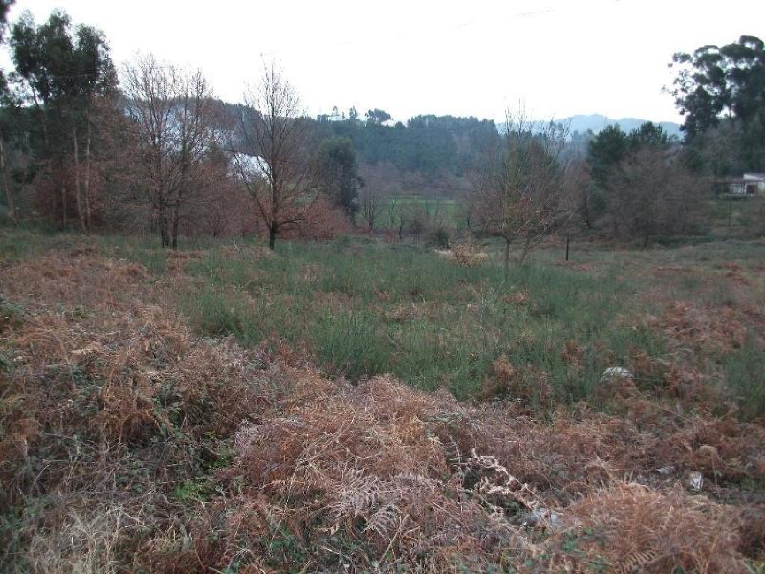  te koop terrein Ronfe Guimarães 1