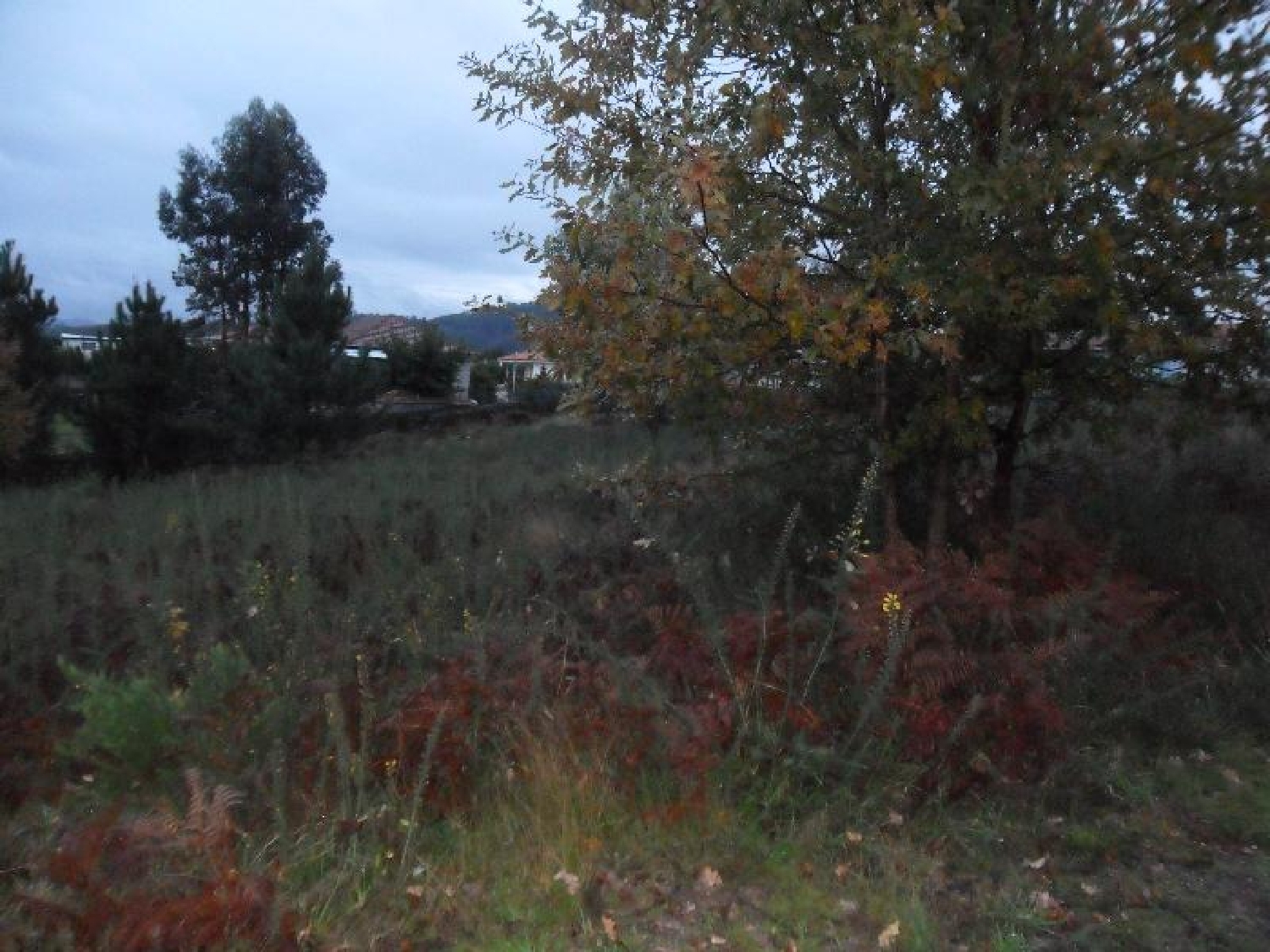 te koop terrein Ronfe Guimarães 3