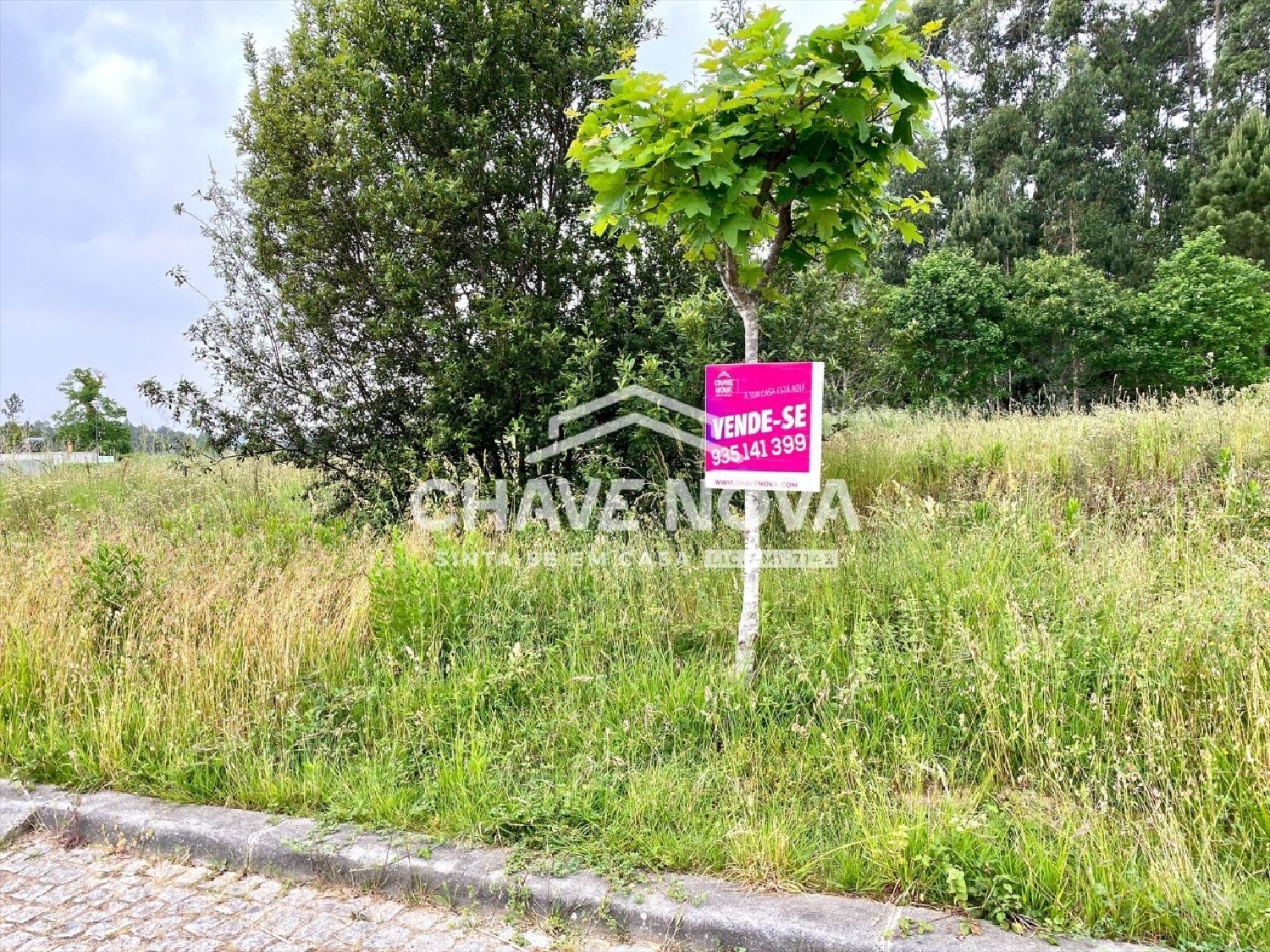  en venta terreno Sá Santa Maria Da Feira 1
