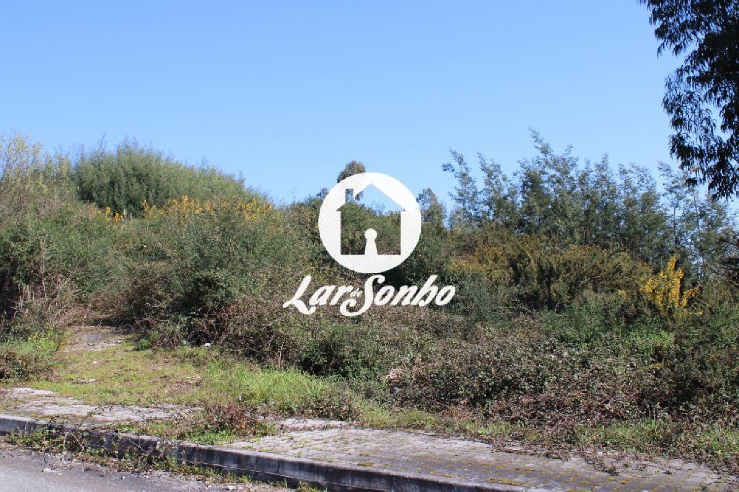 à venda terreno Sá Vila Verde 2
