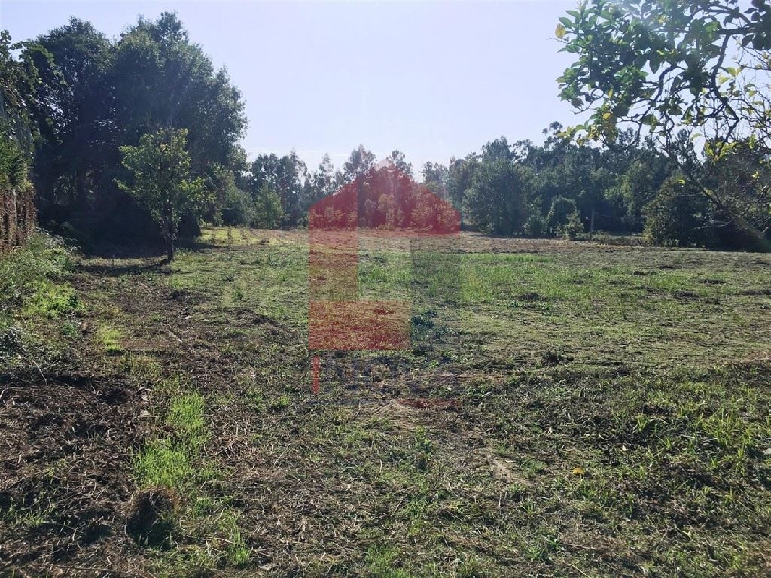  te koop terrein Sá Vila Verde 1