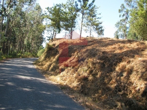 Sá Vila Verde terreno foto 325333