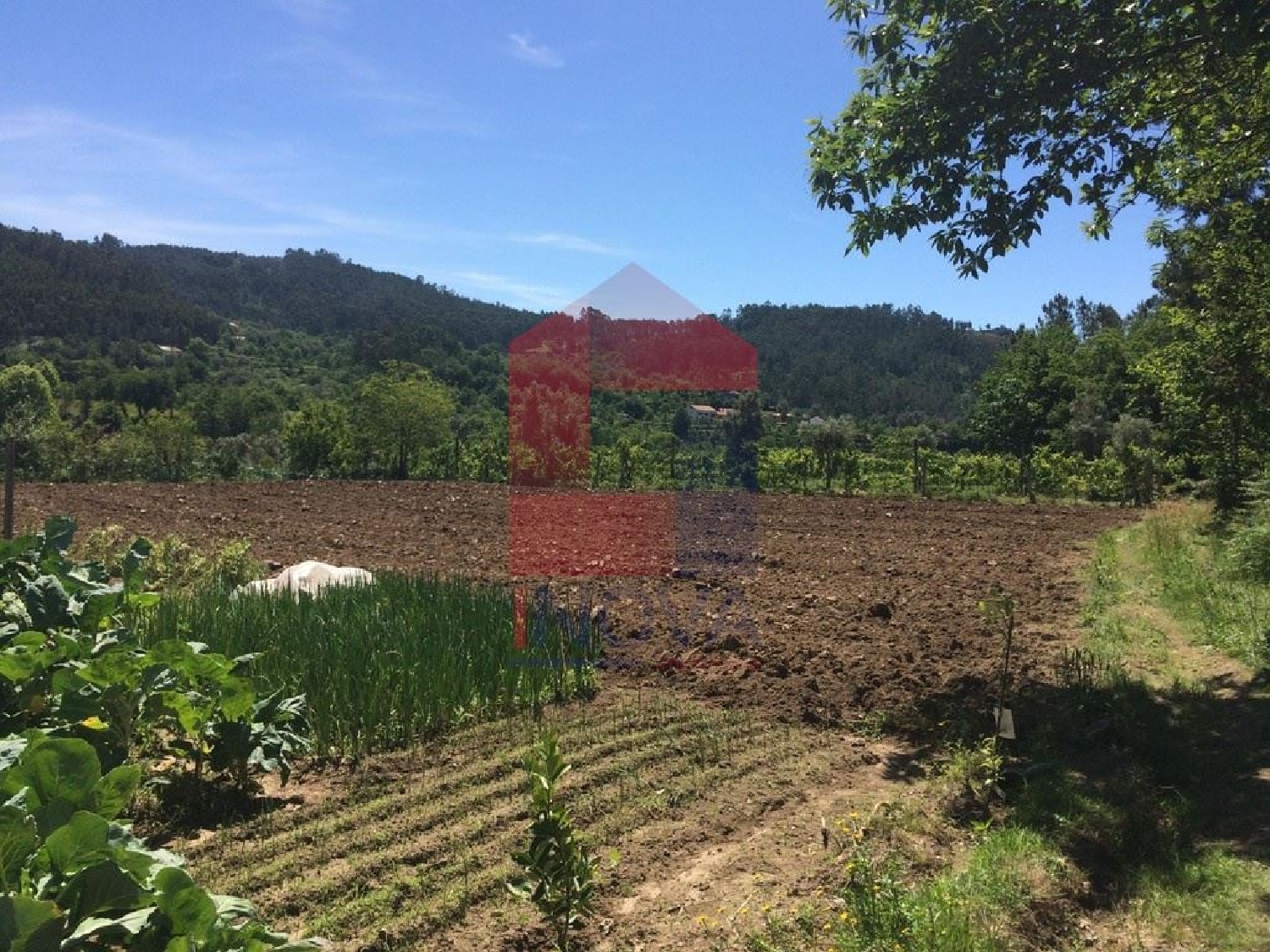  te koop terrein Sá Vila Verde 1