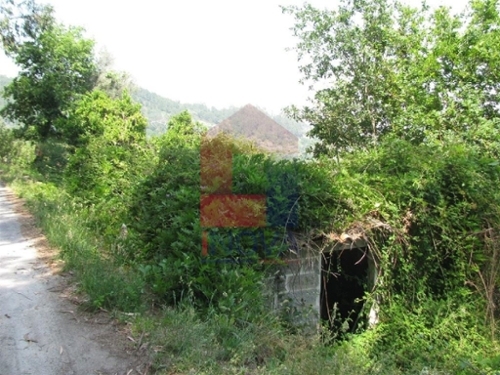 Sá Vila Verde terrein foto 325450