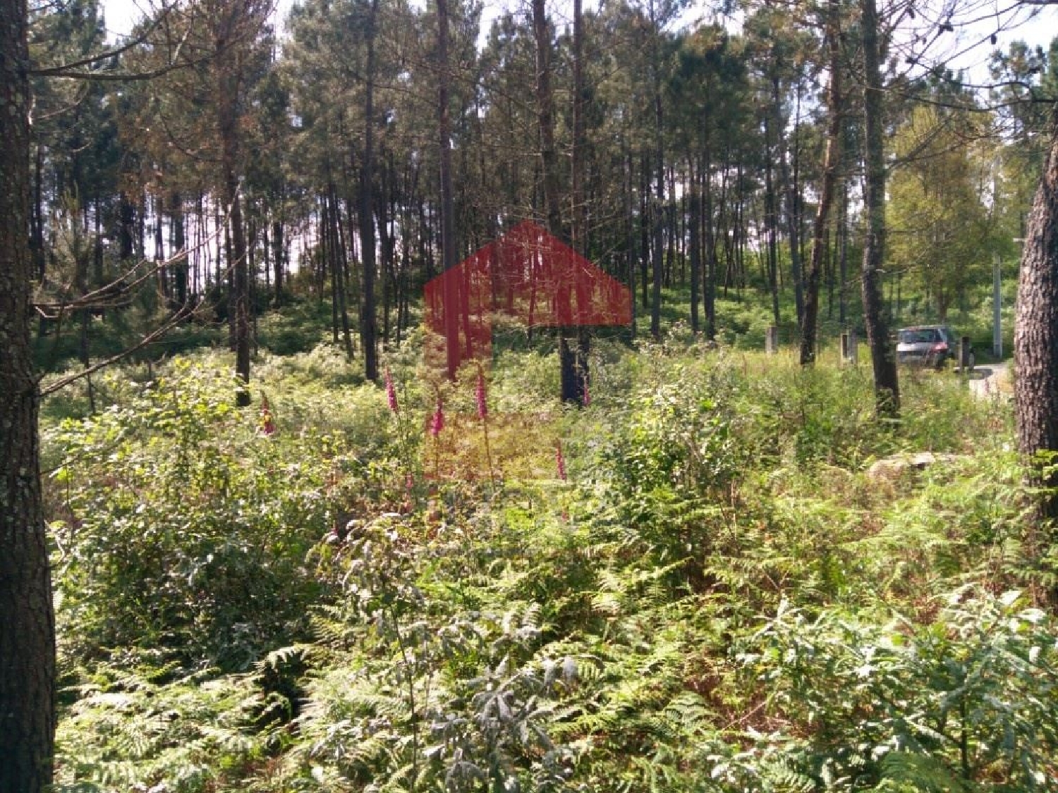 te koop terrein Sá Vila Verde 3