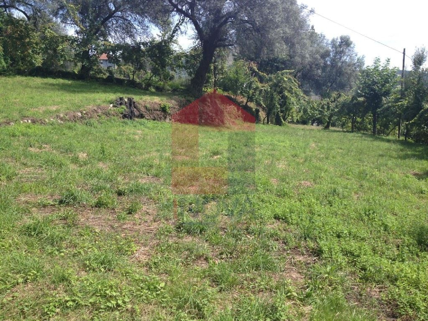 kaufen Grundstück Sá Vila Verde 2