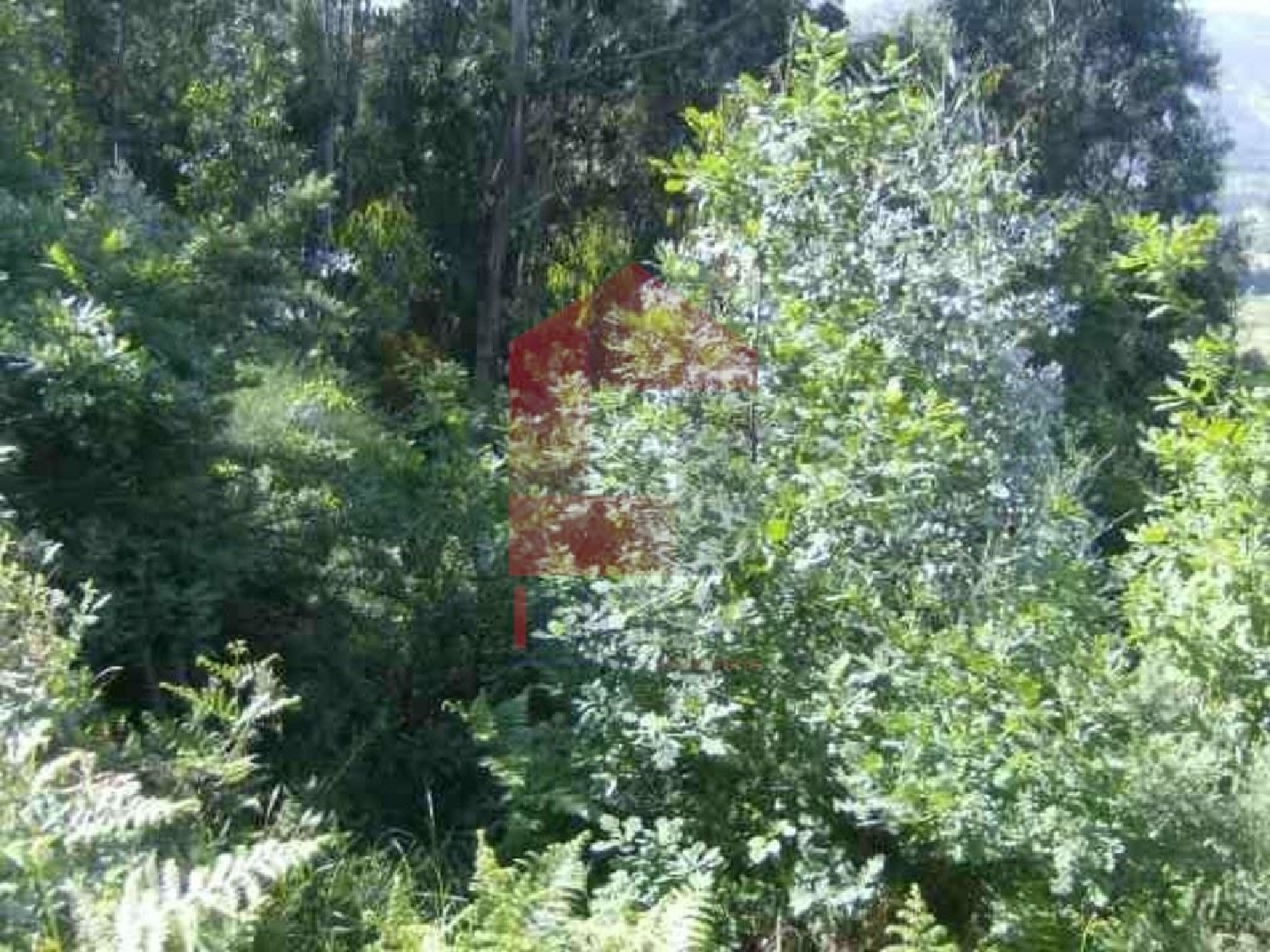 kaufen Grundstück Sá Vila Verde 3