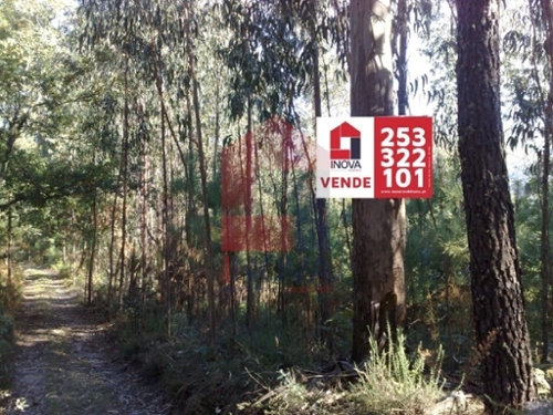 Sá Vila Verde terrein foto 325579