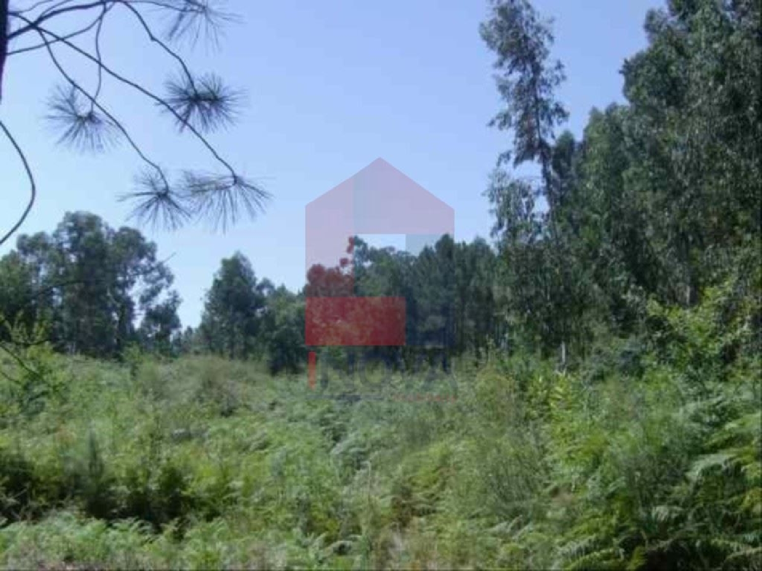  à venda terreno Sá Vila Verde 1