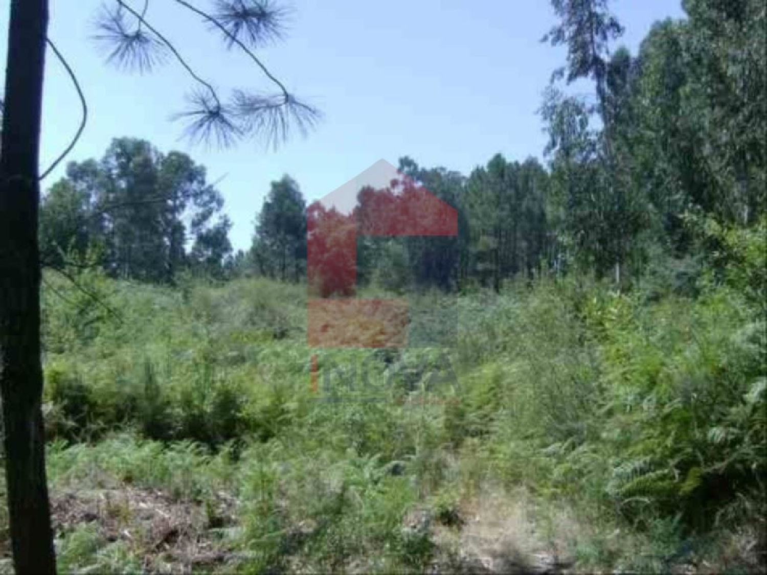 à venda terreno Sá Vila Verde 2