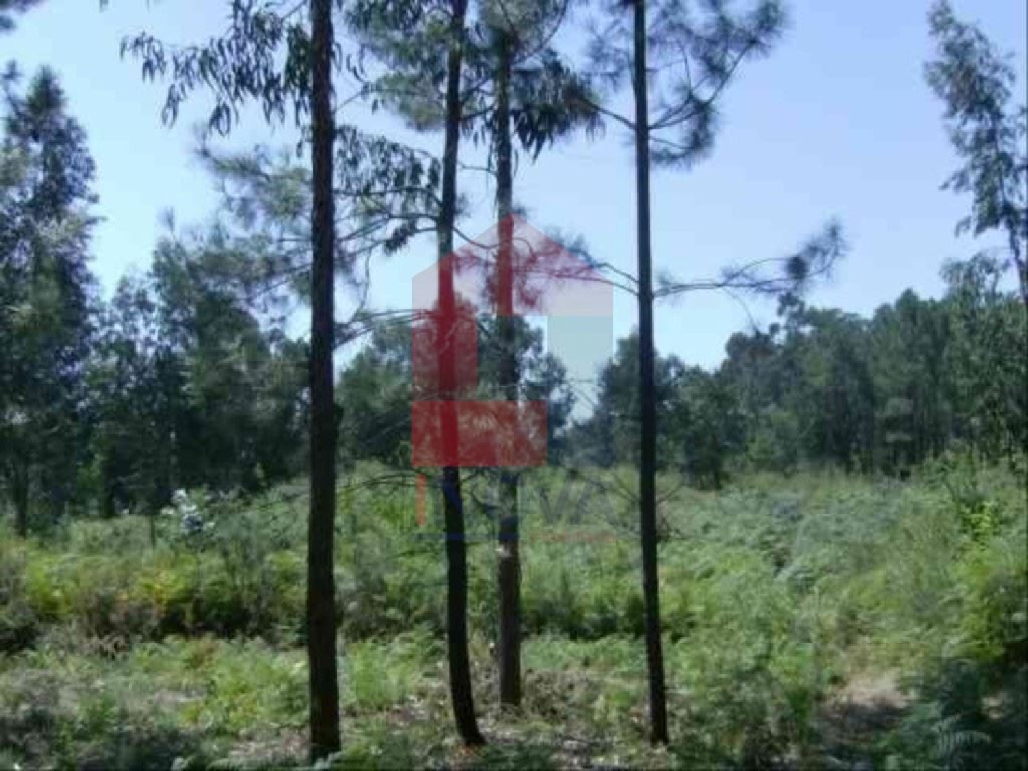 à venda terreno Sá Vila Verde 3