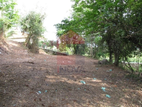 Sá Vila Verde terreno foto 325757