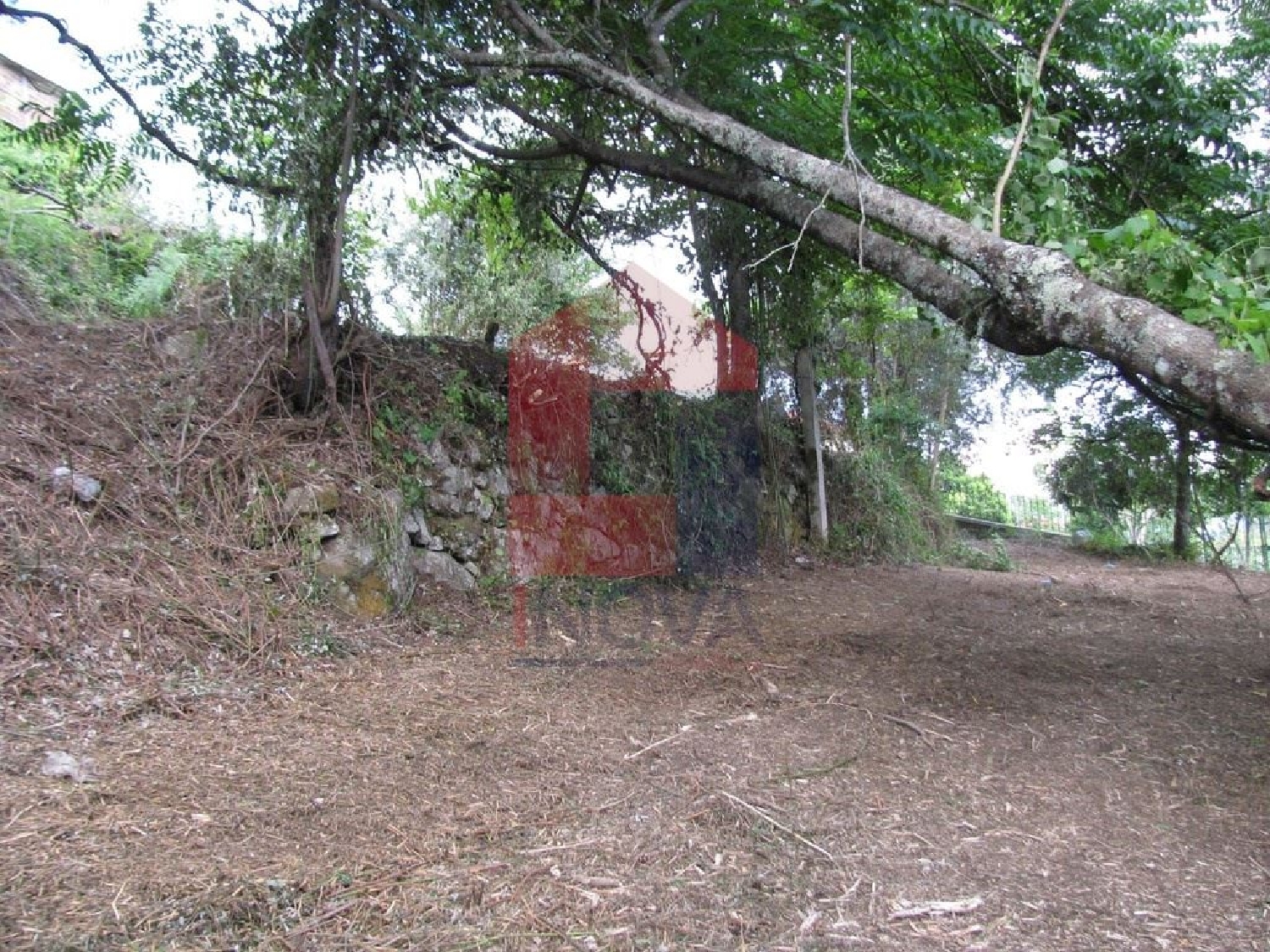 à venda terreno Sá Vila Verde 2