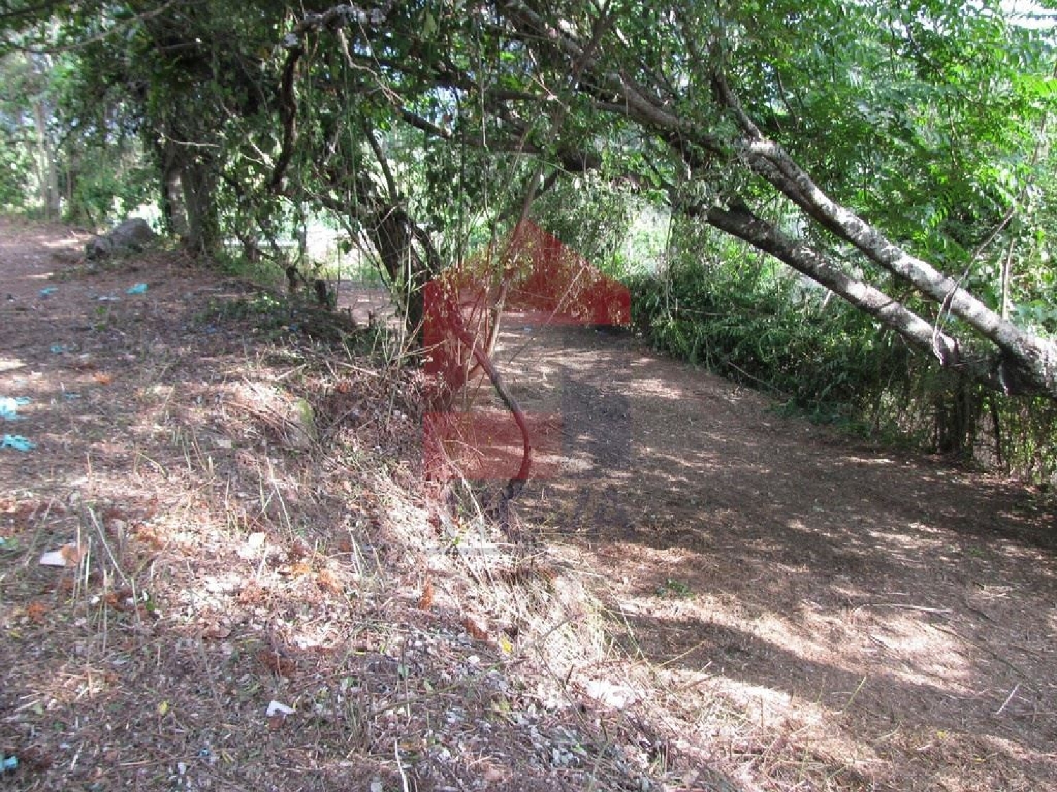 à venda terreno Sá Vila Verde 3