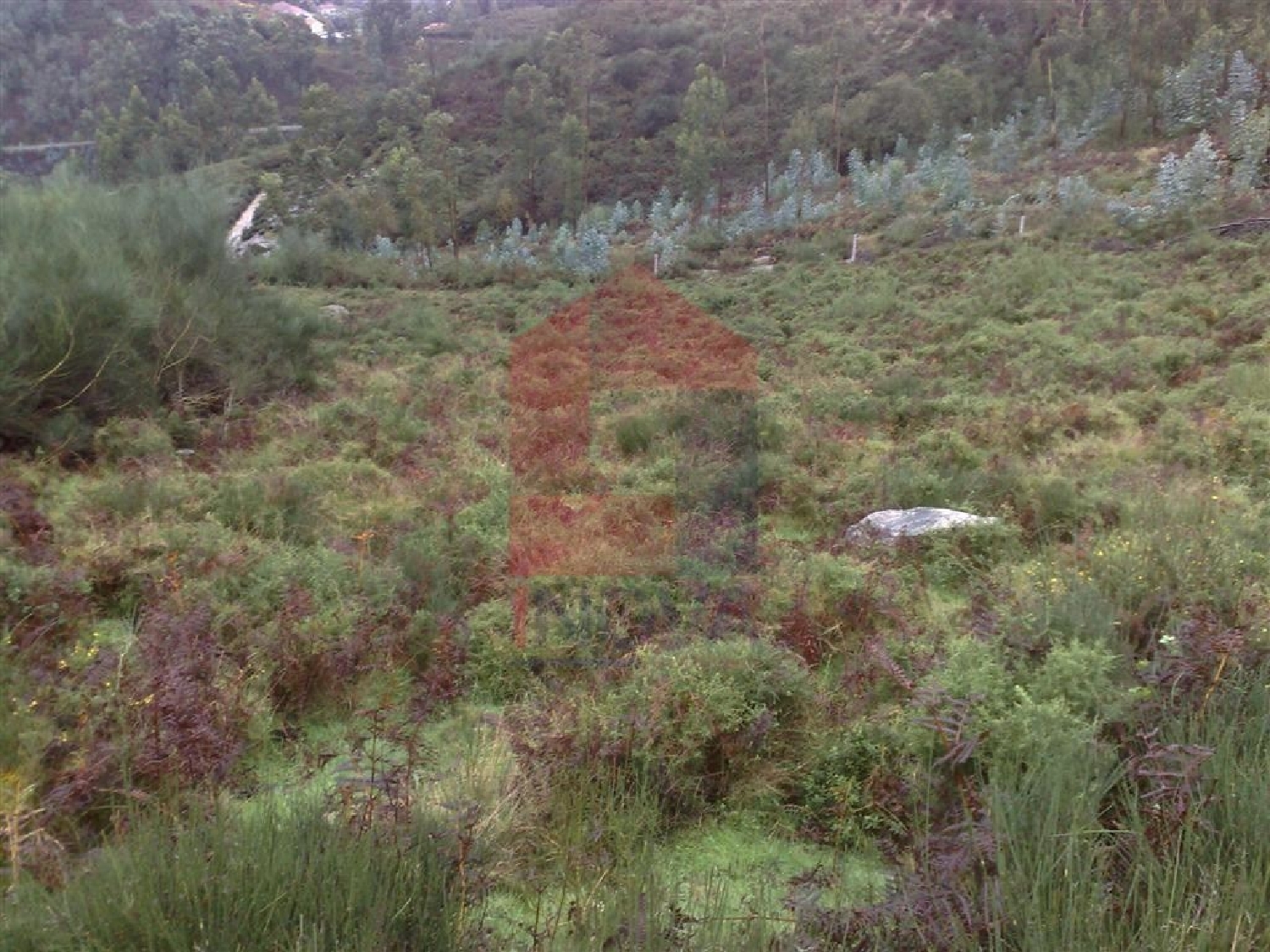 à venda terreno Sá Vila Verde 2