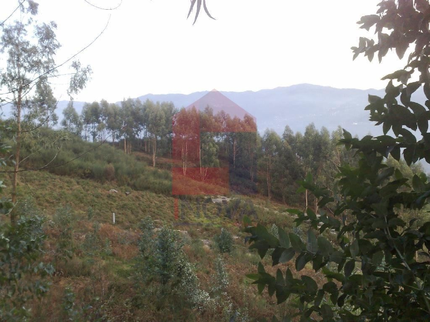 à venda terreno Sá Vila Verde 2
