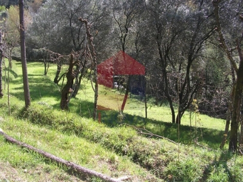 Sá Vila Verde terreno foto 325789