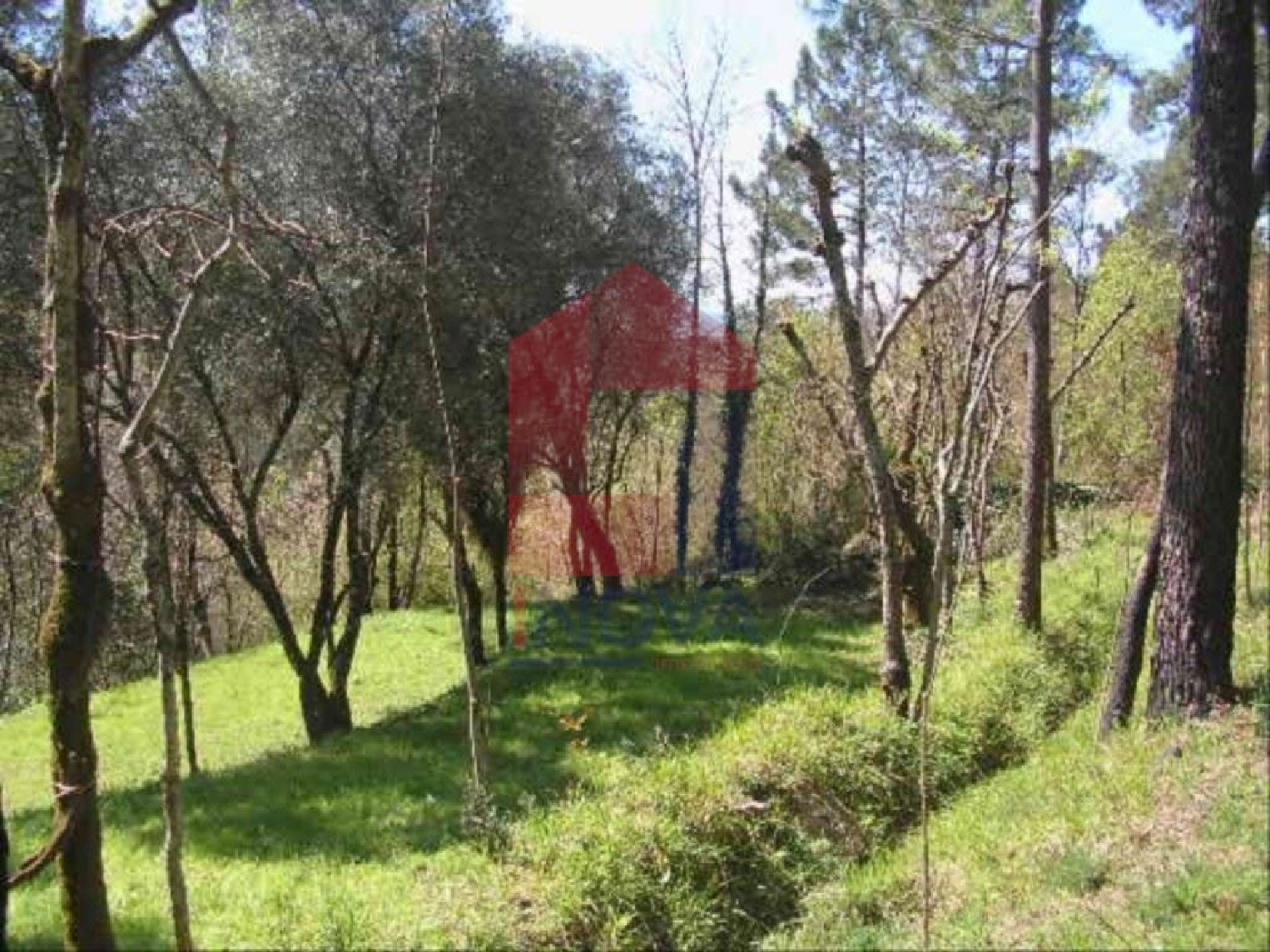 à venda terreno Sá Vila Verde 3