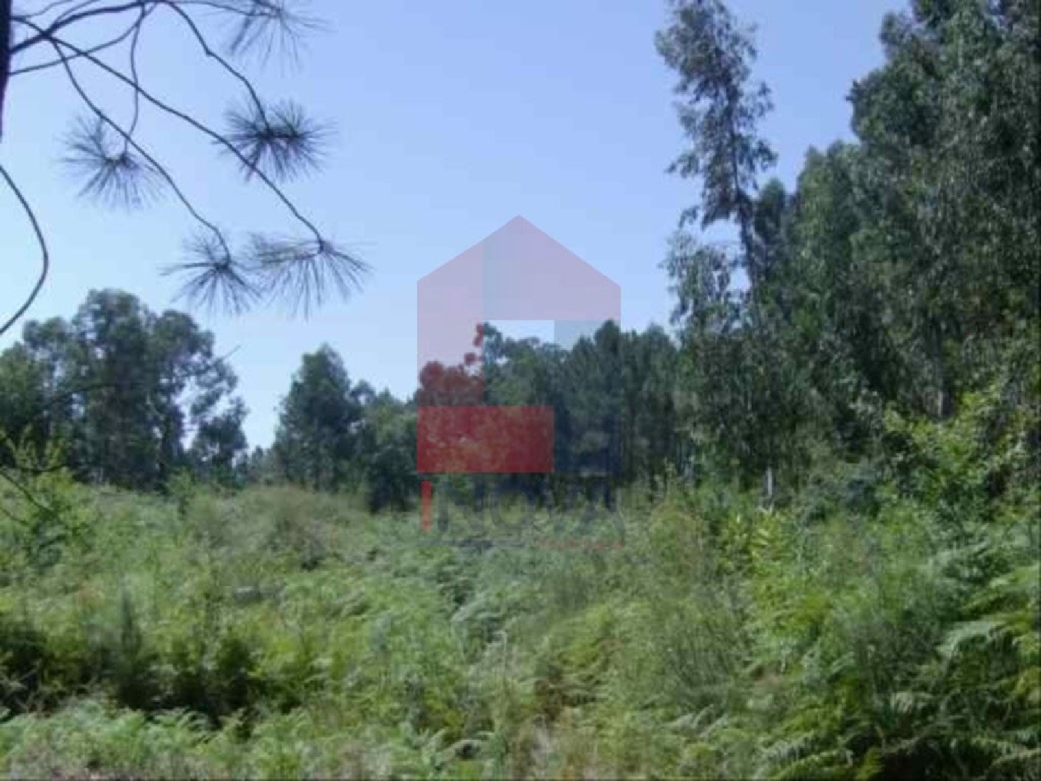  à venda terreno Sá Vila Verde 1