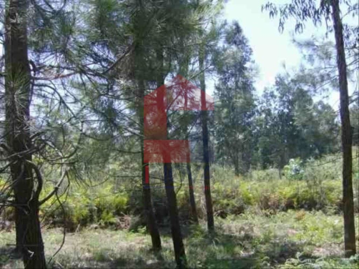 à venda terreno Sá Vila Verde 3