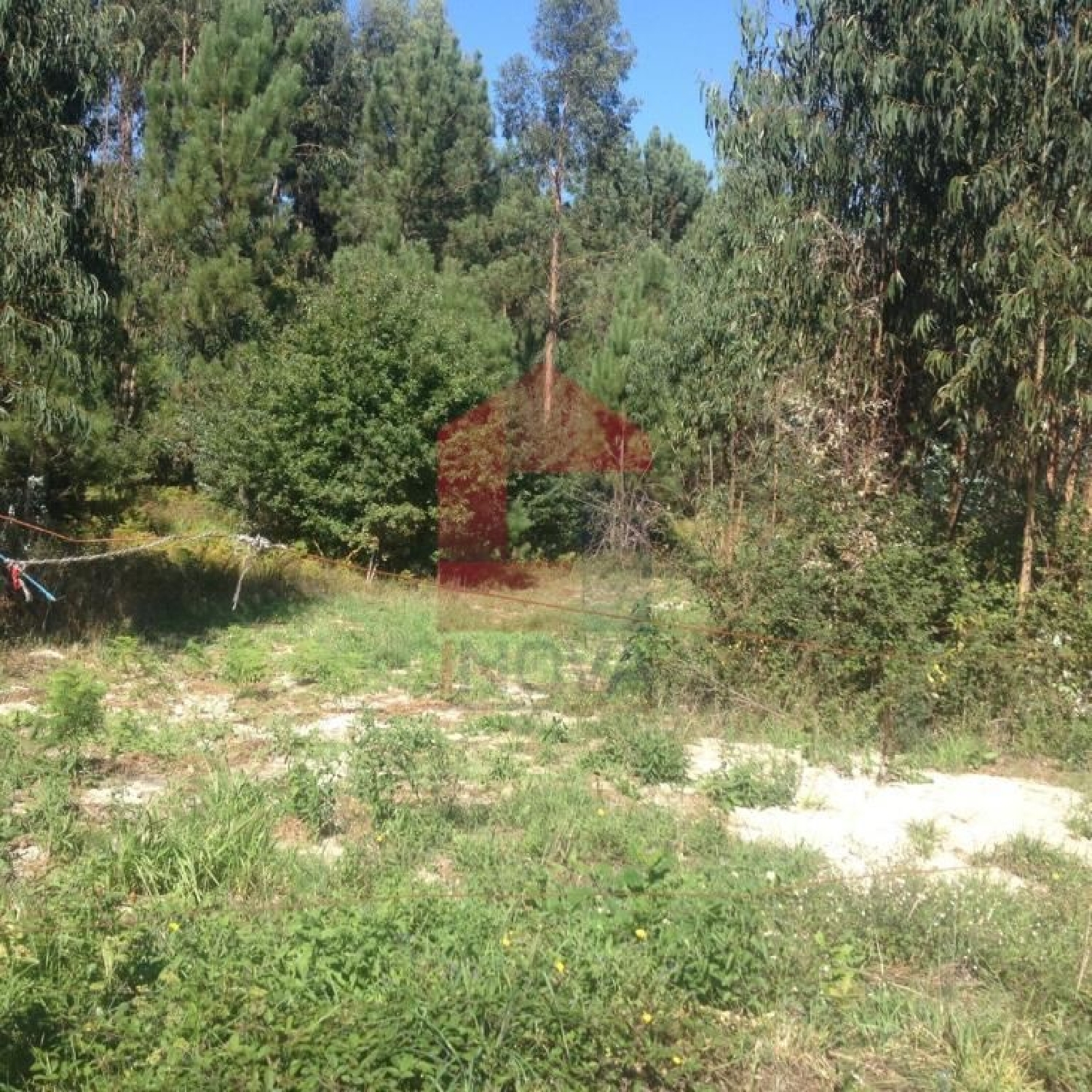 à venda terreno Sá Vila Verde 2