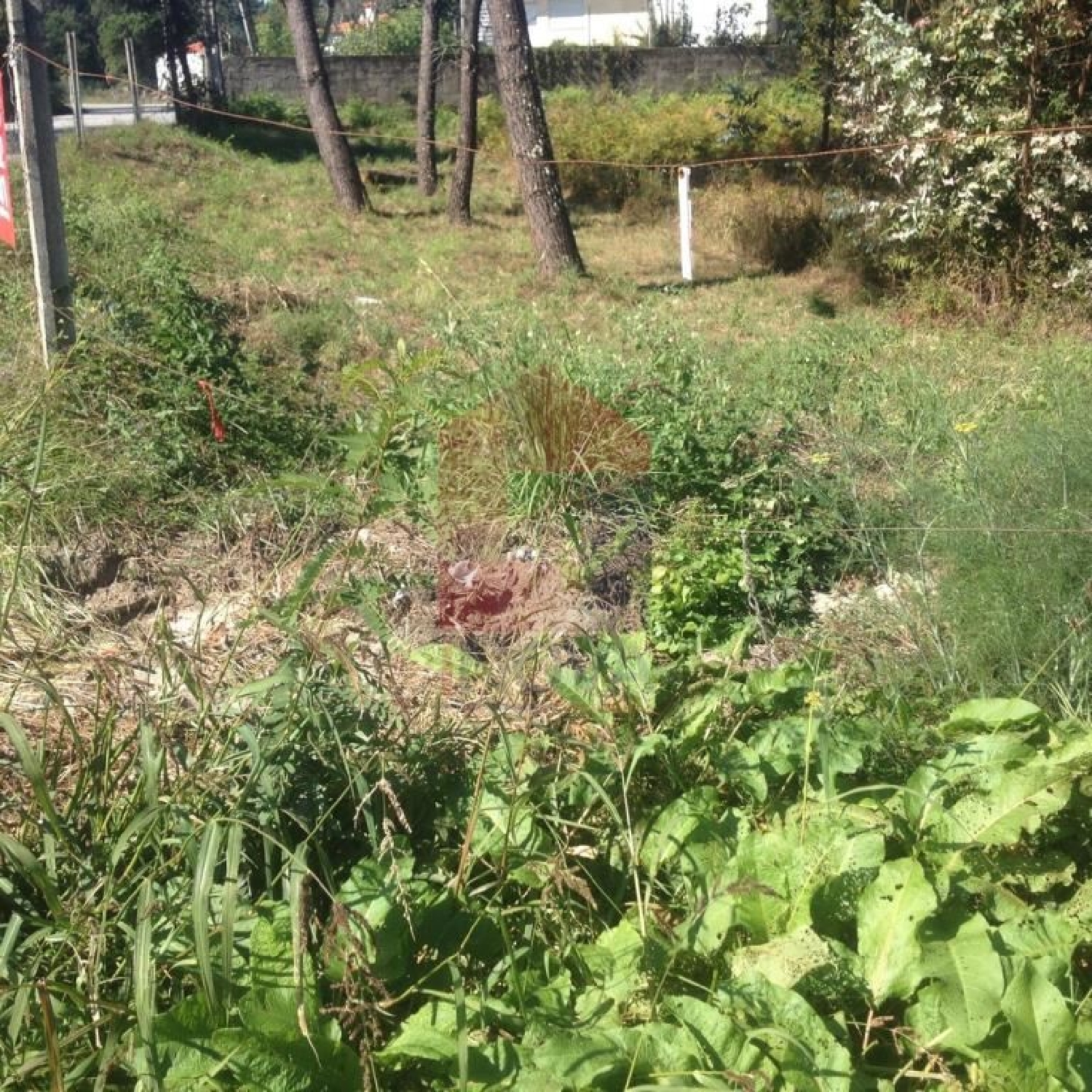 à venda terreno Sá Vila Verde 3