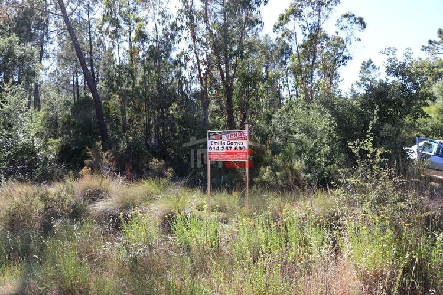 for sale terrain Sabacheira Tomar 2