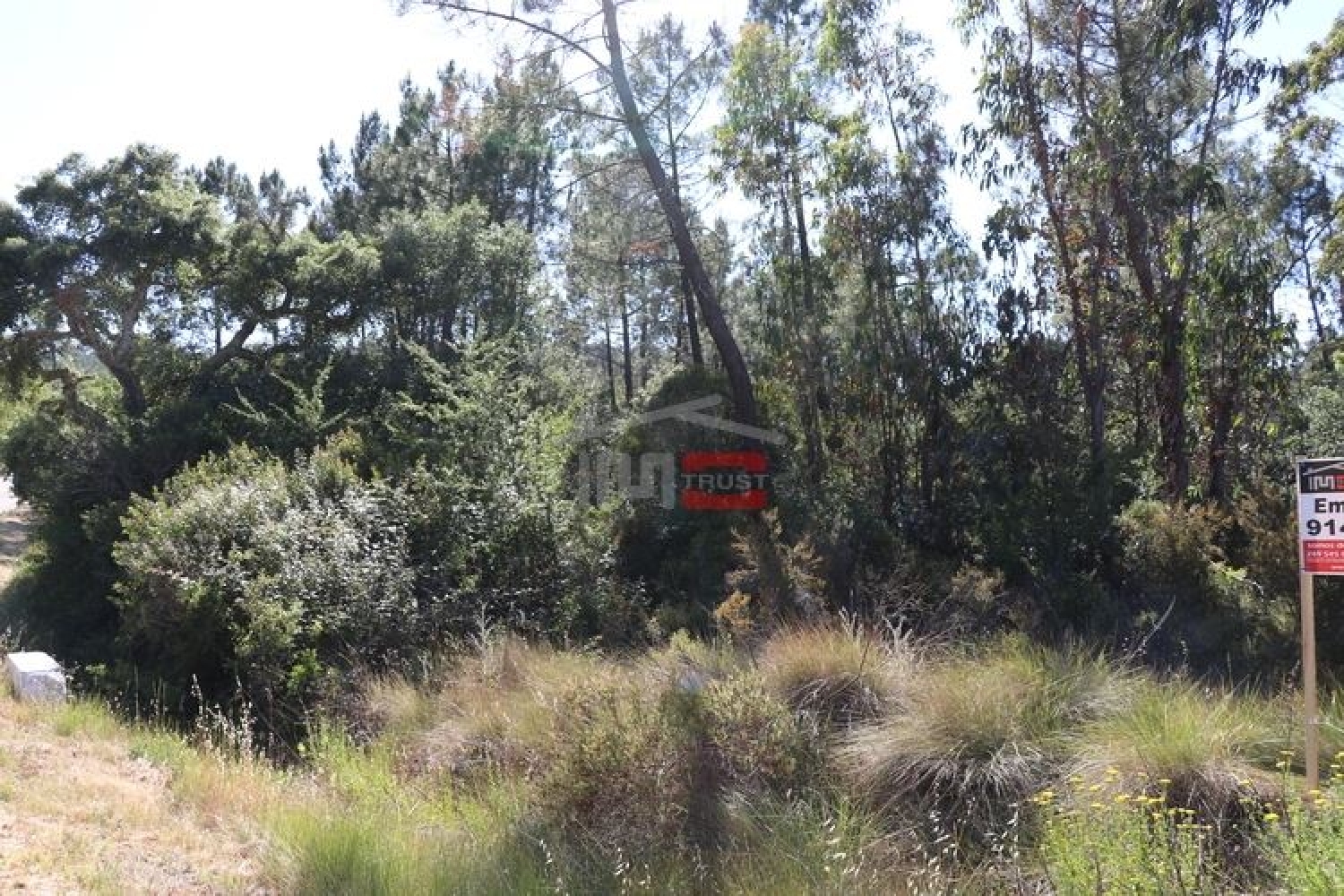 for sale terrain Sabacheira Tomar 3