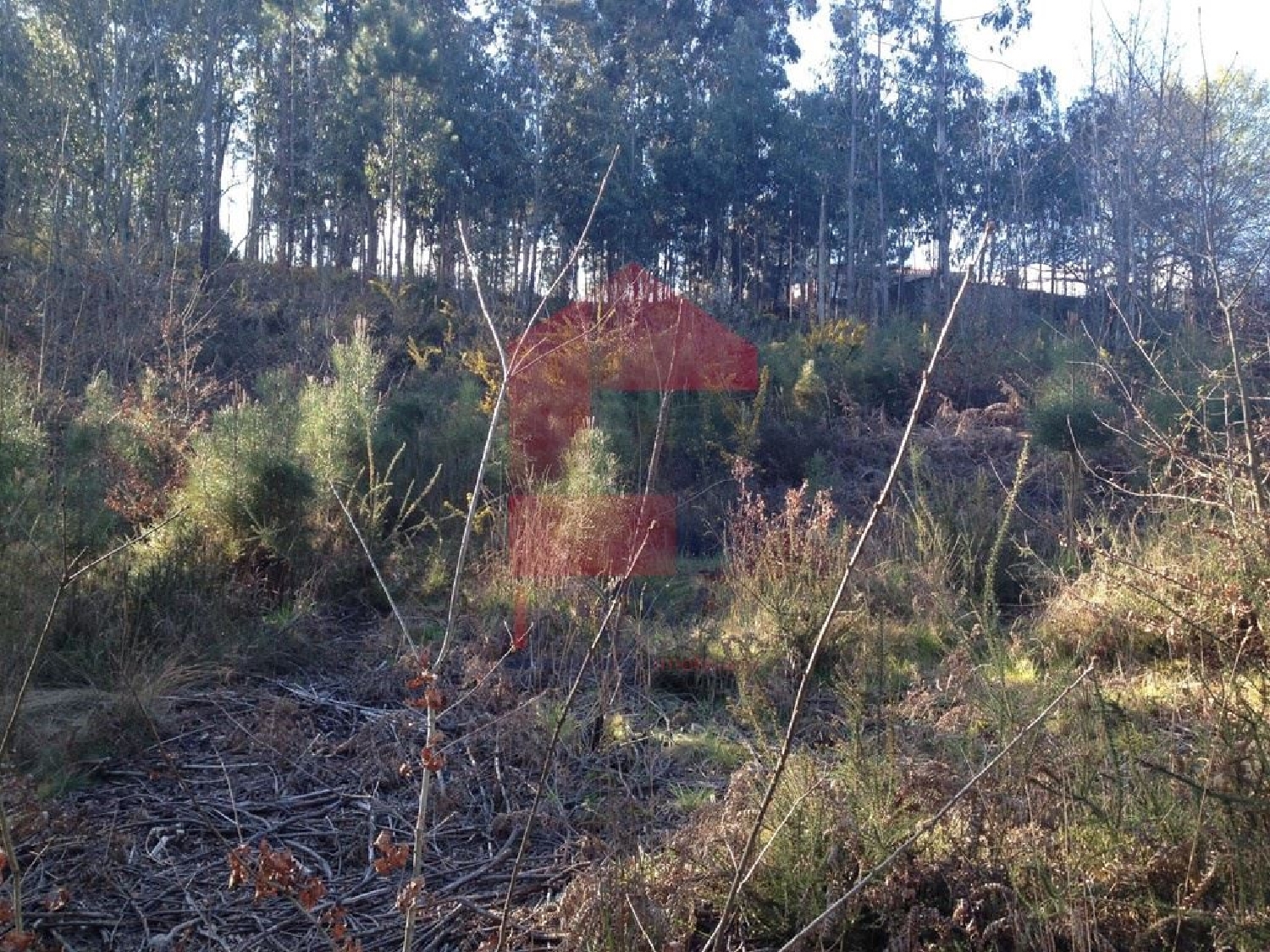 à venda terreno Sabariz Vila Verde 2