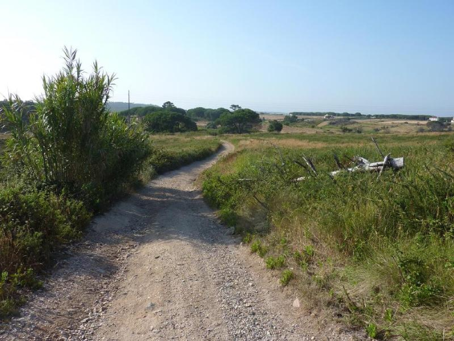  te koop terrein Sabugo Sintra 2