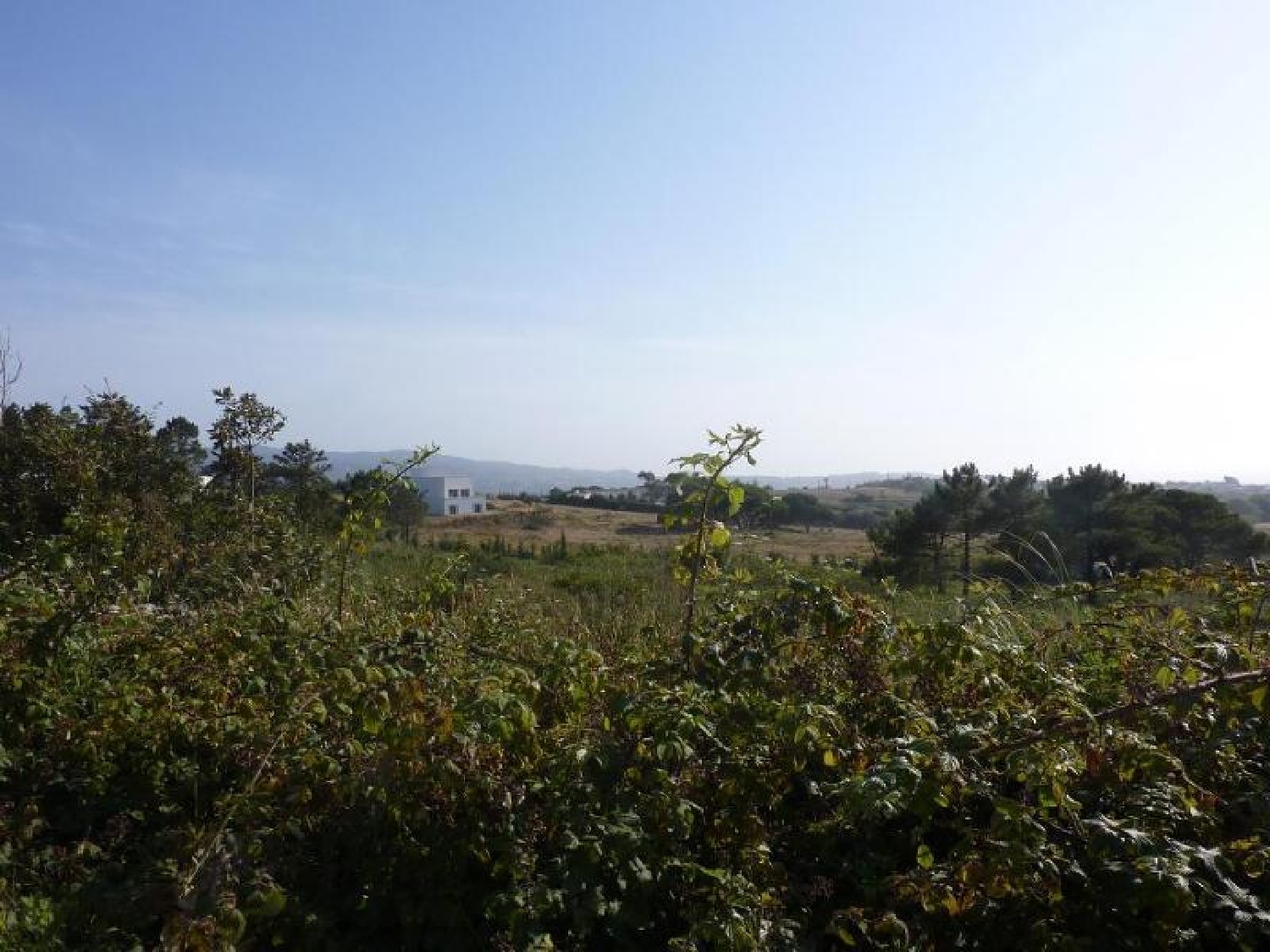  te koop terrein Sabugo Sintra 3