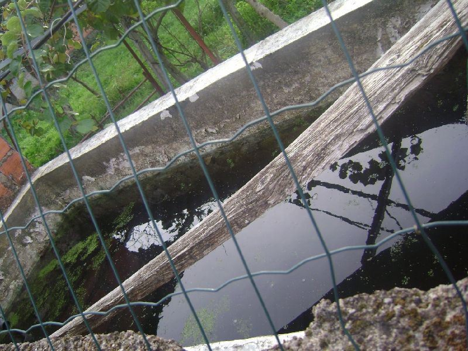 te koop terrein Salgueiro do Campo Castelo Branco 2