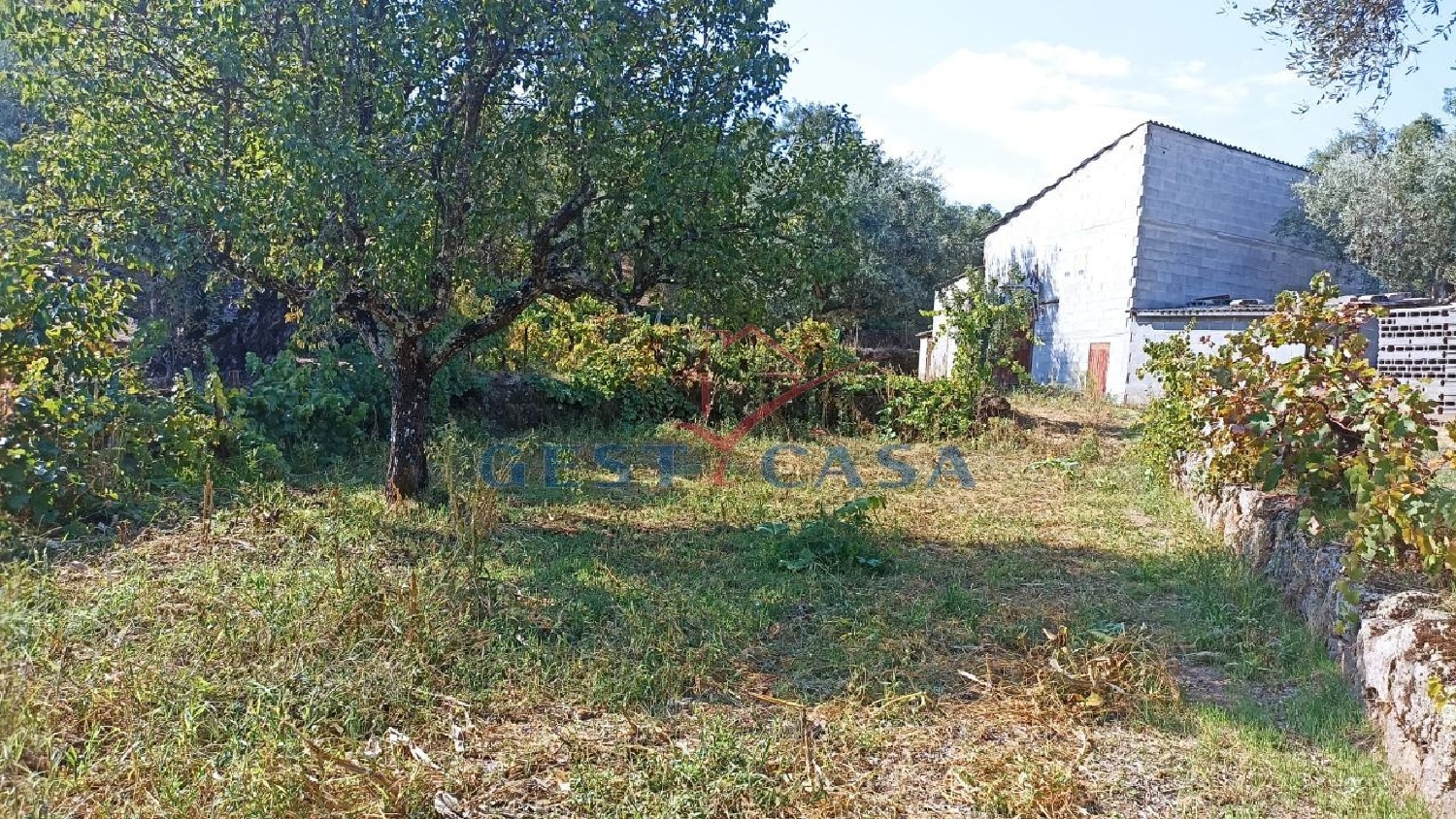 te koop terrein Salgueiro do Campo Castelo Branco 3