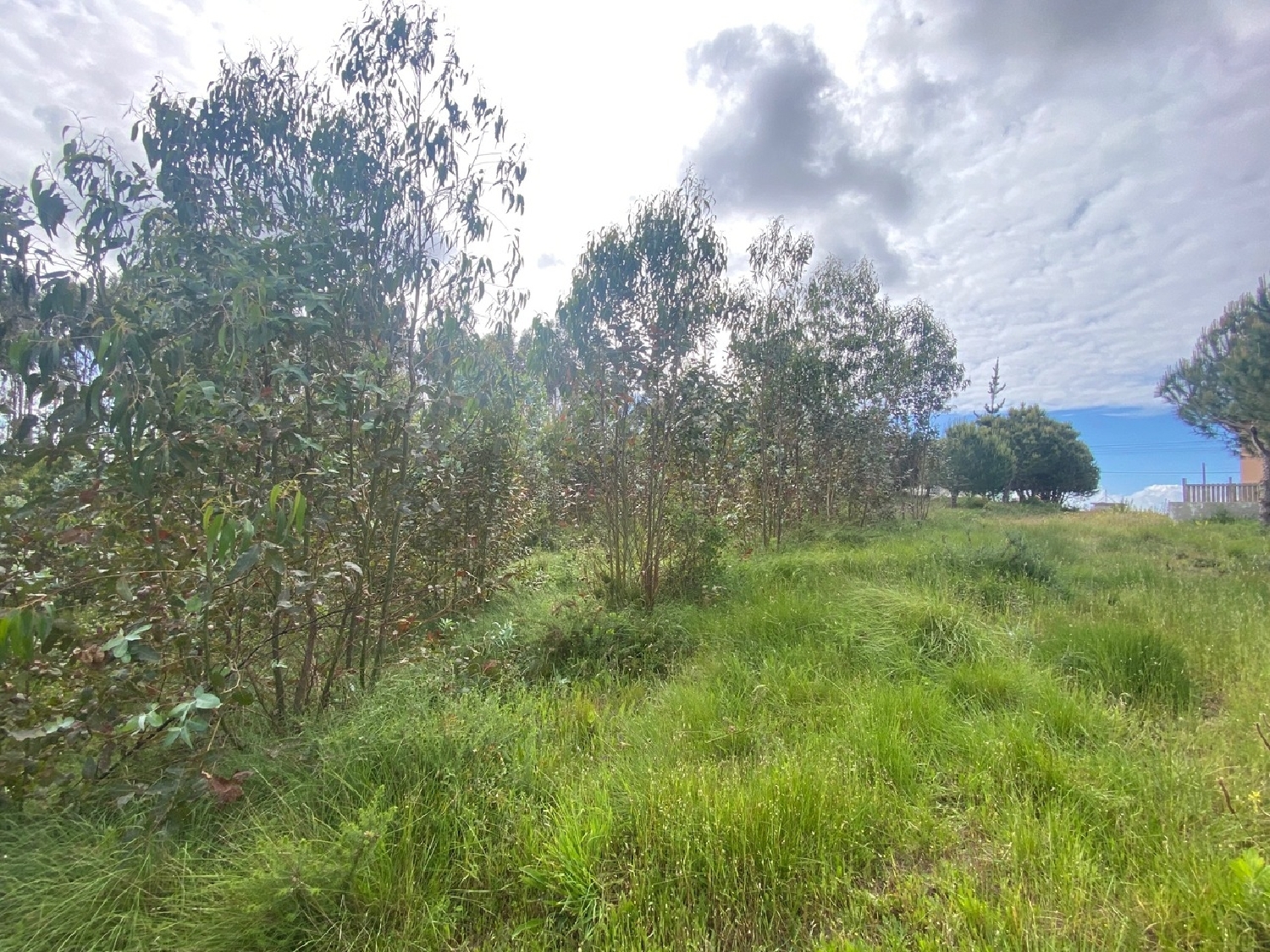  köpa tomt Salir de Matos Caldas Da Rainha 4