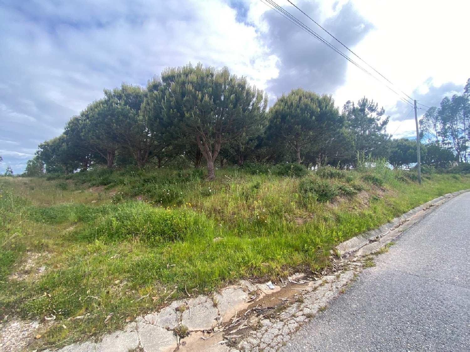  köpa tomt Salir de Matos Caldas Da Rainha 7